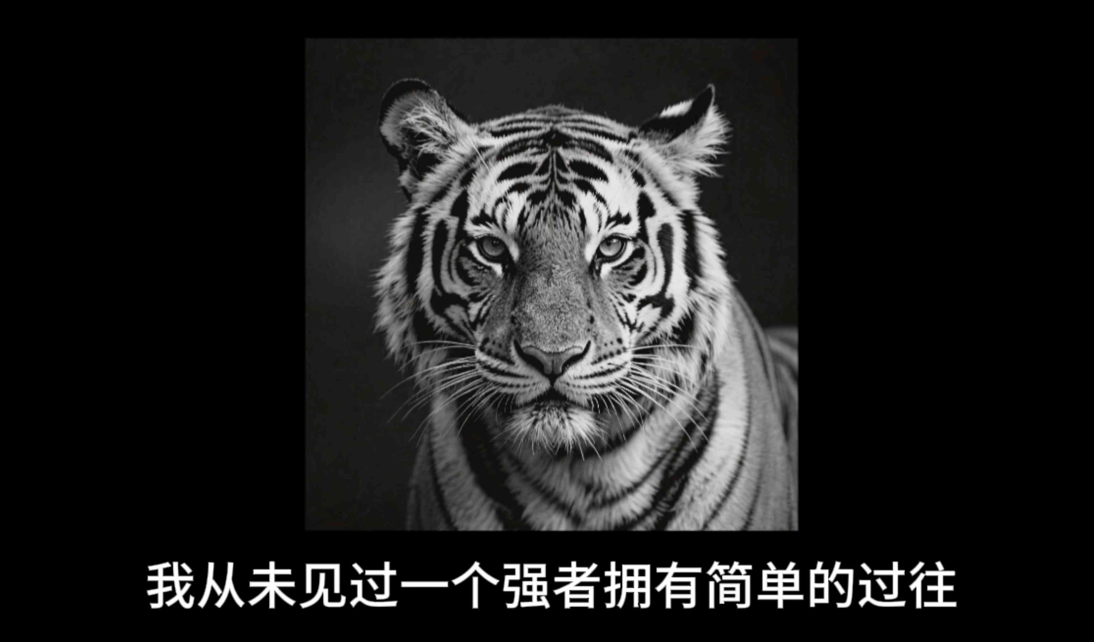 曼波情感语录-抖微学堂AI